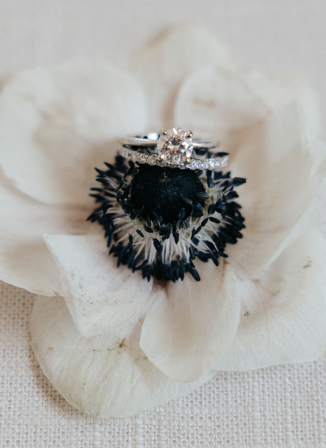 Rings in a flower with black center